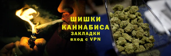 хмурый Арсеньев