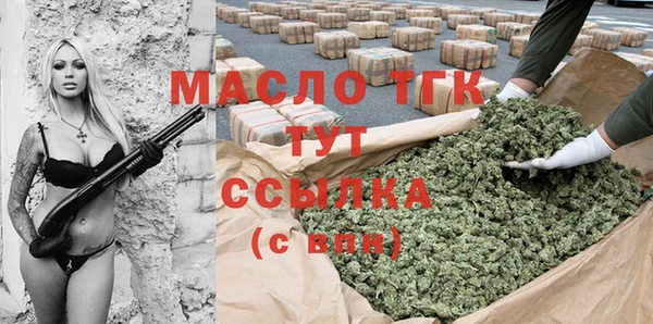 хмурый Арсеньев