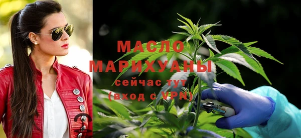 хмурый Арсеньев