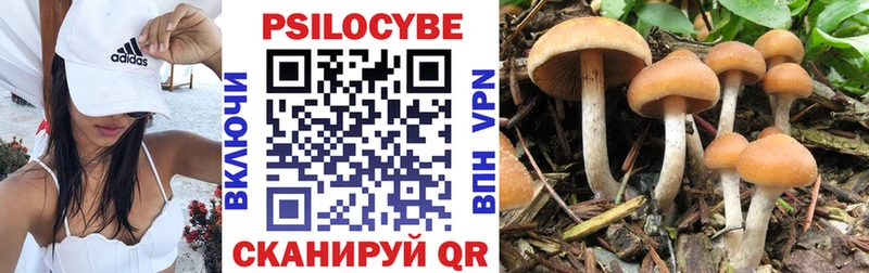 Псилоцибиновые грибы Psilocybine cubensis  Купить где  Дигора 