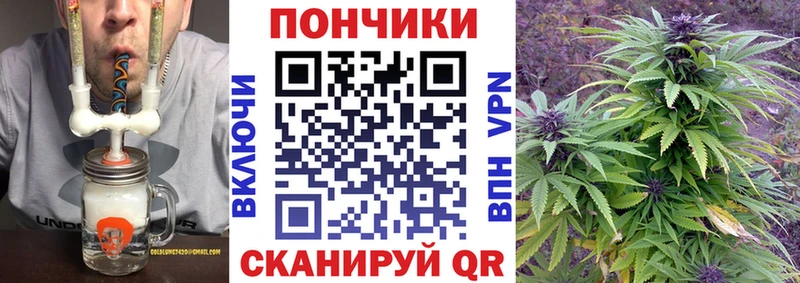 Купить  Дигора  Конопля планчик 